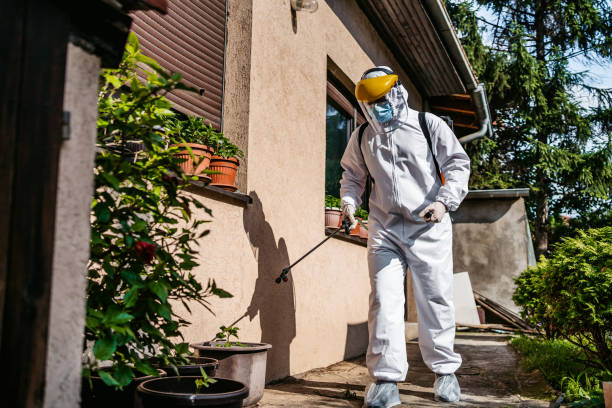 Best Wasp Removal Services  in South Beach, FL