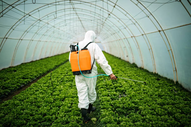 Best Affordable Pest Control Services  in South Beach, FL
