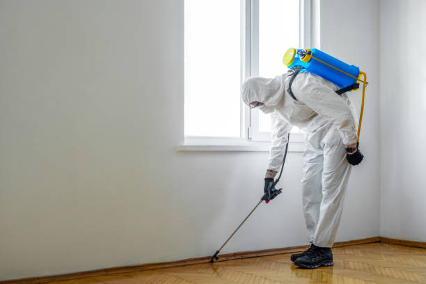 Trusted South Beach, FL Pest Control Experts