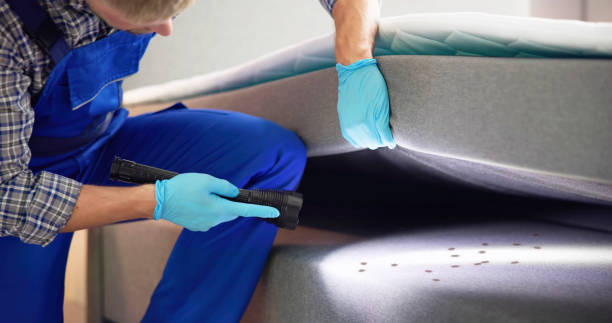  South Beach, FL Pest Control Pros